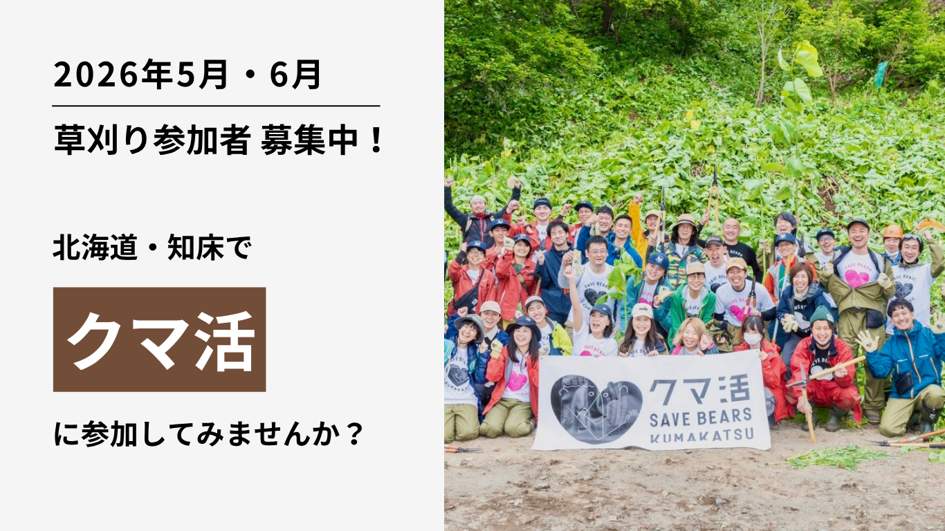 クマ活・草刈り参加者募集のお知らせ（2026年5月26日・6月6日